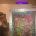 The Art of Jello Costello - Facebook