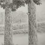 Art Craft - Facebook