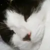 artcramer - @artcramer - TikTok