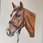 Anne Crammond - @anne.crammond_art - Instagram