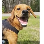 Art  Crouse - @woodcarverart - Instagram