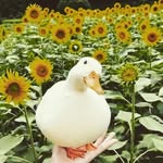 (^-^) - @_artcurry_ - Instagram