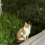 @art_cu_rry - Instagram