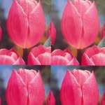 Peter Dayton - @peterdaytonart - Instagram