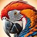 Delson Art Gallery  - Facebook