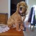 Artina Decamp-aguilar - Facebook