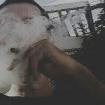 @685p - @artevans - Instagram