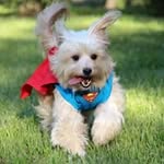 Art Evans - @artevans1672 - Instagram
