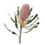 Cheryl Hodges | Nature Artist & Teacher - @cherylhodgesartist - Instagram