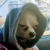 artkleinholz7 - @artkleinholz7 - TikTok