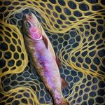 Art Kramer - @artkramer4620 - Instagram