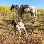 Art Kramer - @gretabdog - Instagram