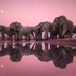 Clarisa ikun Souza - @artlarson52757148 - Instagram