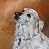 Shannon Olson Art (Junkflirt) - @shannonolsonart - TikTok