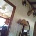 Art Peterman - Facebook