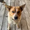 Art Peters - @art.peters7 - TikTok