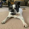 Ange_Phillips_Art - @ange_phillips_art - TikTok