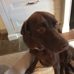 Artful Dodger - @art_pointer - Instagram
