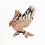 Sally Proctor Art - @sallyproctor.art - Instagram