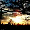 artreed2880 - @artreed2880 - TikTok