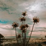 Reeves - @_artreeves - Instagram