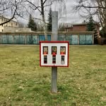 Art Rush - @artrush_analog - Instagram