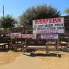 Artemio Saenz785 - @artsaenz1 - TikTok