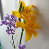 user3501180365239 - @art_sim_ - TikTok