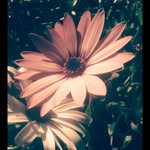 stubbs - @art_and_stubbs - Instagram