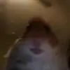 user3577629201193 - @art.welch13 - TikTok