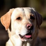 Artem Duda - @artem.duda.56 - Instagram