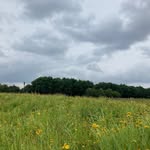 Artemis Brown - @slwbbfm - Instagram