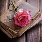 Arthi Reddy - Facebook