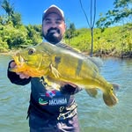 Arthur Almeida - @arthuuralmeida - Instagram