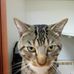 Arthur Archibald - Facebook