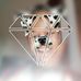 Arthur Augusto - Facebook