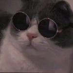 @arthurbales145 - Instagram