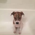 Arthur Barton - @arthurbarton817 - Instagram