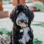 Arthur Miller Barton - @arthurmiller_barton - Instagram