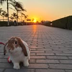 Arthur - @arthur_baxter06 - Instagram