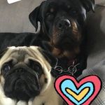 George_Arthur_Baxter - @george_arthur_baxter - Instagram