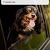 Belle Arthur - Facebook