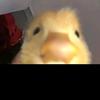 Arthur Ben - @arthurben - TikTok