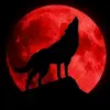 Arthur Bender - @arthur.bender00 - TikTok