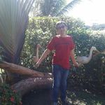 Arthur Miguel bender - @arthurmiguelbender60 - Instagram