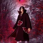 Arthur Benedict - @bene_dict.67 - Instagram
