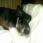 Arthur Benfield - Facebook