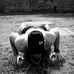 Arthur Benoit - Facebook
