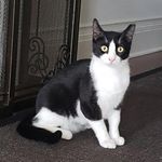 Arthur Bentley - @sir_arthur_bentley - Instagram