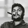 arthur berkay - @arthur.berkay - TikTok